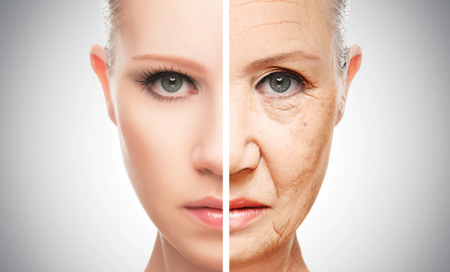 Anti Aging